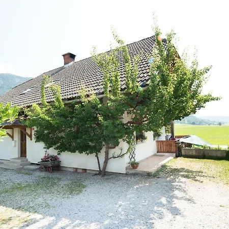 Mateja House - Apartments In Zirovnica Rodine Exterior photo