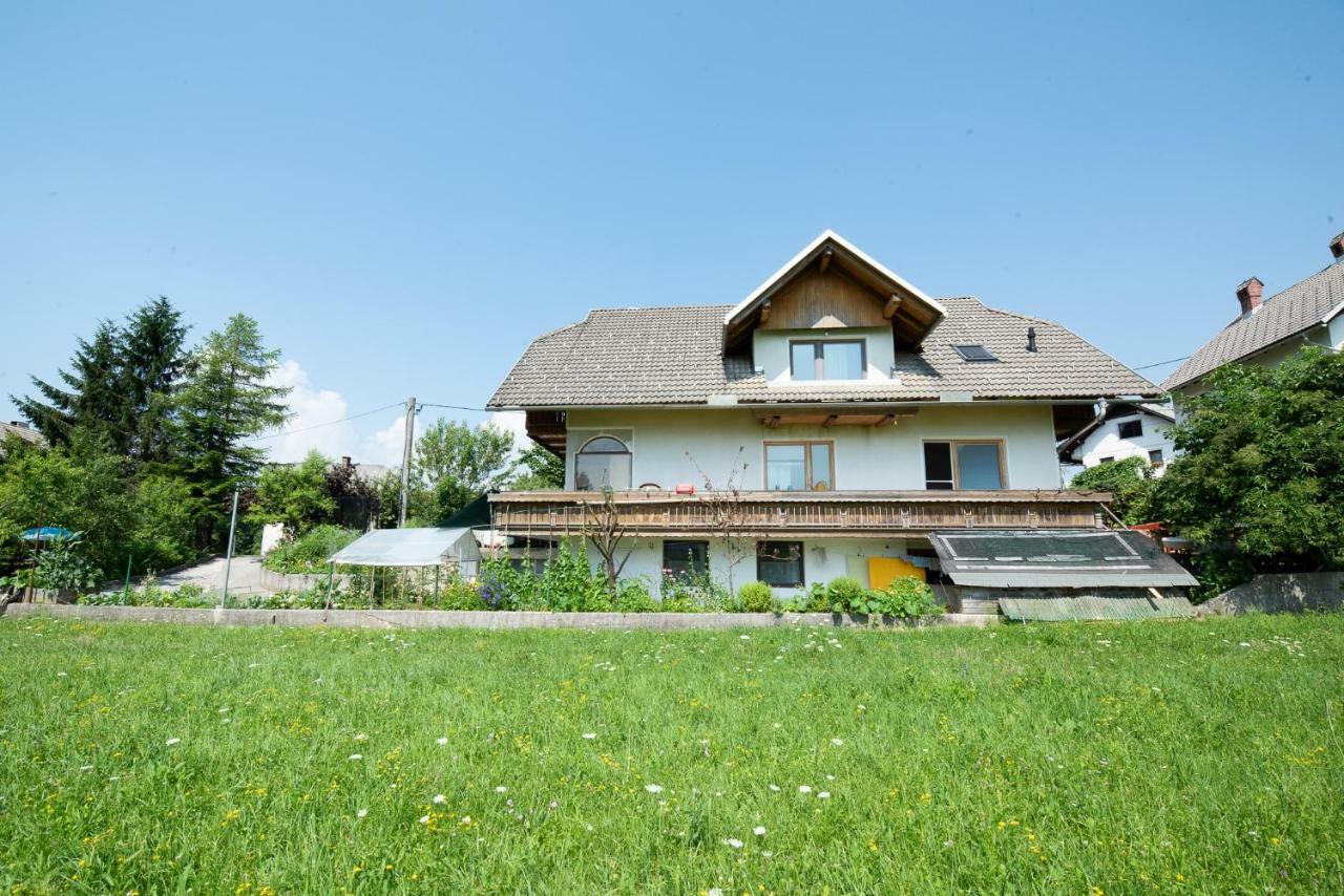 Mateja House - In Zirovnica Apartment
